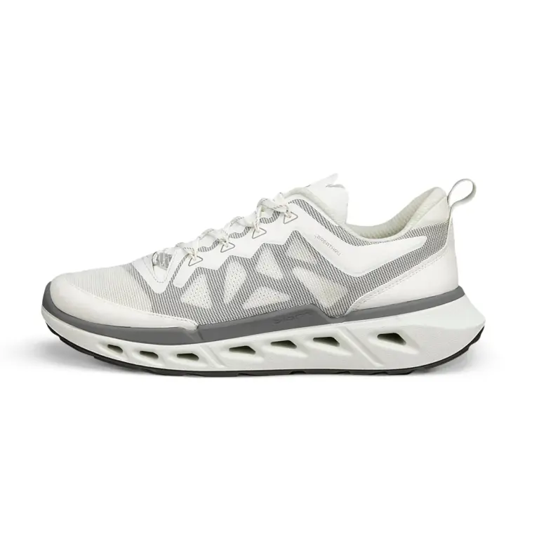 Ecco Biom 720 Herresko