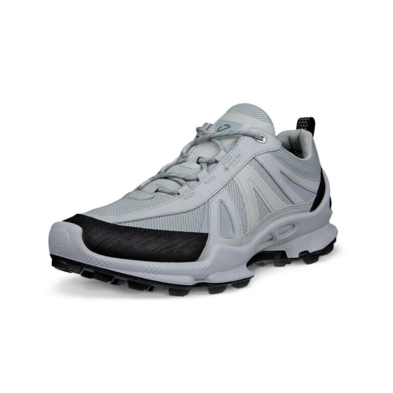 Ecco Biom C-Trail Gore-tex Herresko