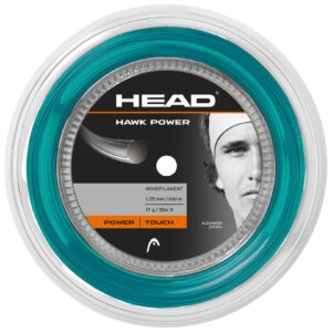 Strenge - Head