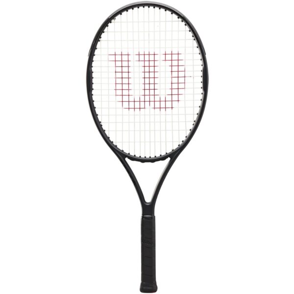 Wilson Pro Staff 25 V13.0